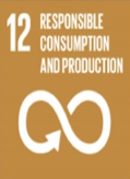 SDG 12:  Ensure Sustainable Consumption and Production Patterns