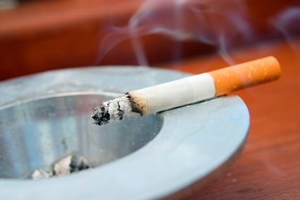 The Medical Bond: Solving the mystery of how cigarette smoking weakens bones