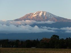 Mount Kilimanjaro.jpg