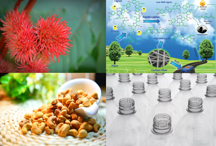 News Roundup May13-25.png News Roundup May13-25.png