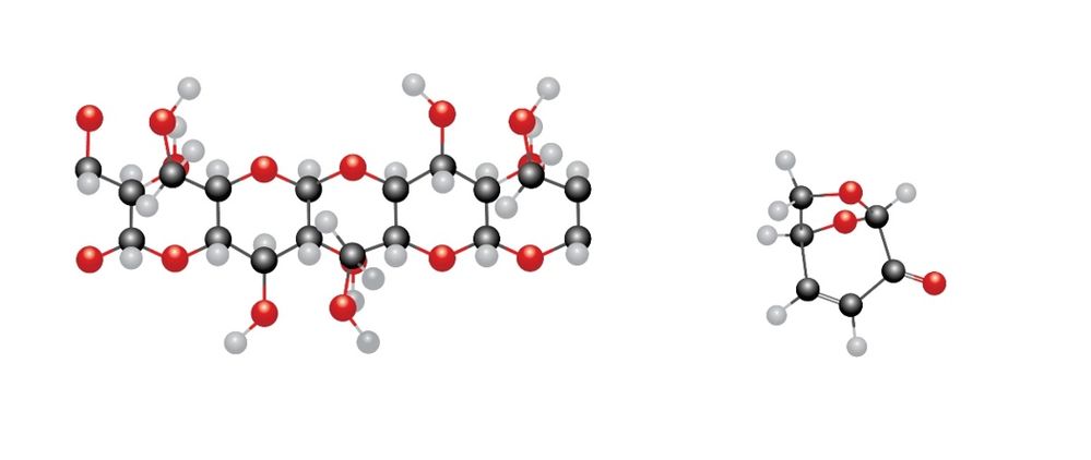 Figure 1. Cellulose (left), Levoglucosenone (right)