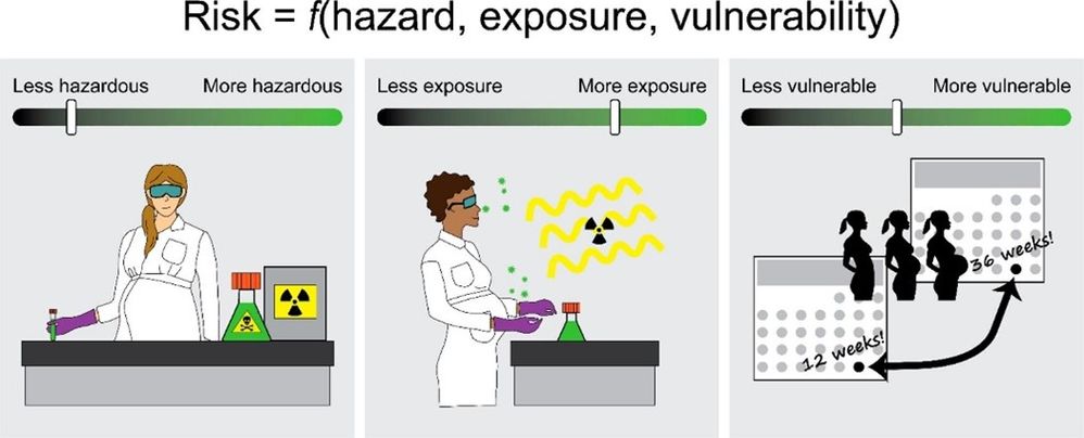 Figure 1: Risks for pregnant researchers depends on hazard, exposure, and vulnerability, where each exists on a scale that contributes to overall risk. Types of hazards in a chemical lab include chemical and radiation hazards, among others. Main routes of exposure are dermal, oral, and inhalation exposure, along with ambient exposure to hazardous environments such as radiation or sound. A pregnant researcher and their developing fetus can be more or less vulnerable to certain hazards and exposures based on the progression of their pregnancy. (https://doi.org/10.1021/acs.chemrestox.1c00380)