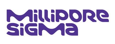 %7B840fd251-1b68-4f5c-a456-015aca6f6855%7D_LOGO_MSIG_RPurple_RGB-01 %7B840fd251-1b68-4f5c-a456-015aca6f6855%7D_LOGO_MSIG_RPurple_RGB-01